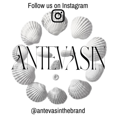 https://www.instagram.com/antevasinthebrand